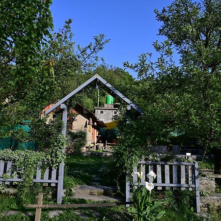 Himalayan Mud Resort 카솔 외부 사진